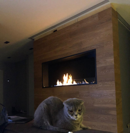 Встраиваемый биокамин Firezo Classic 1200 Встраиваемый биокамин Firezo Classic 1200